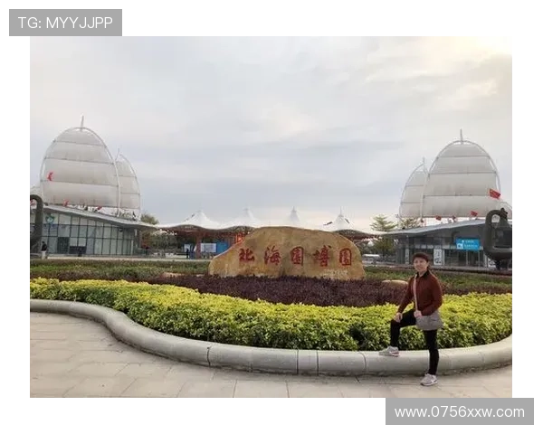 金色轰炸机引领未来空中力量革新探索与战略布局 - 副本 - 副本 - 副本 (2)